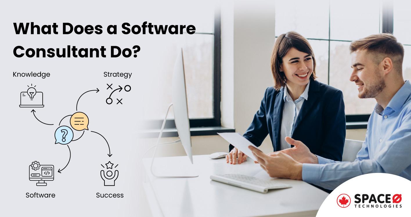 What Does a Software Consultant Do