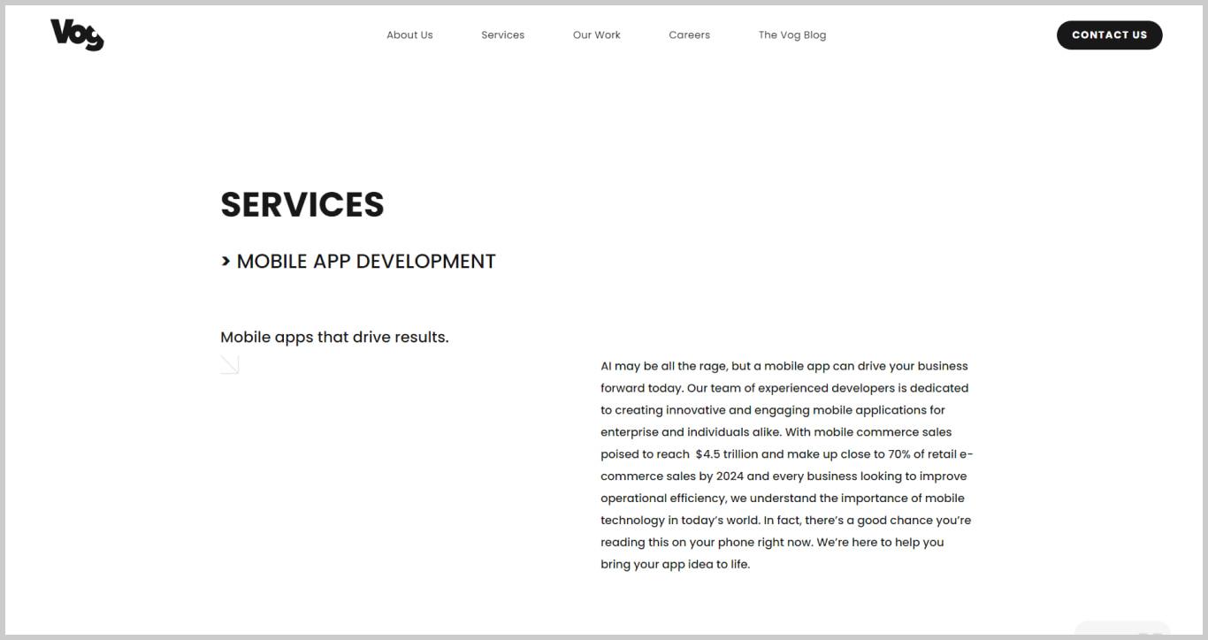 Vog App Developers