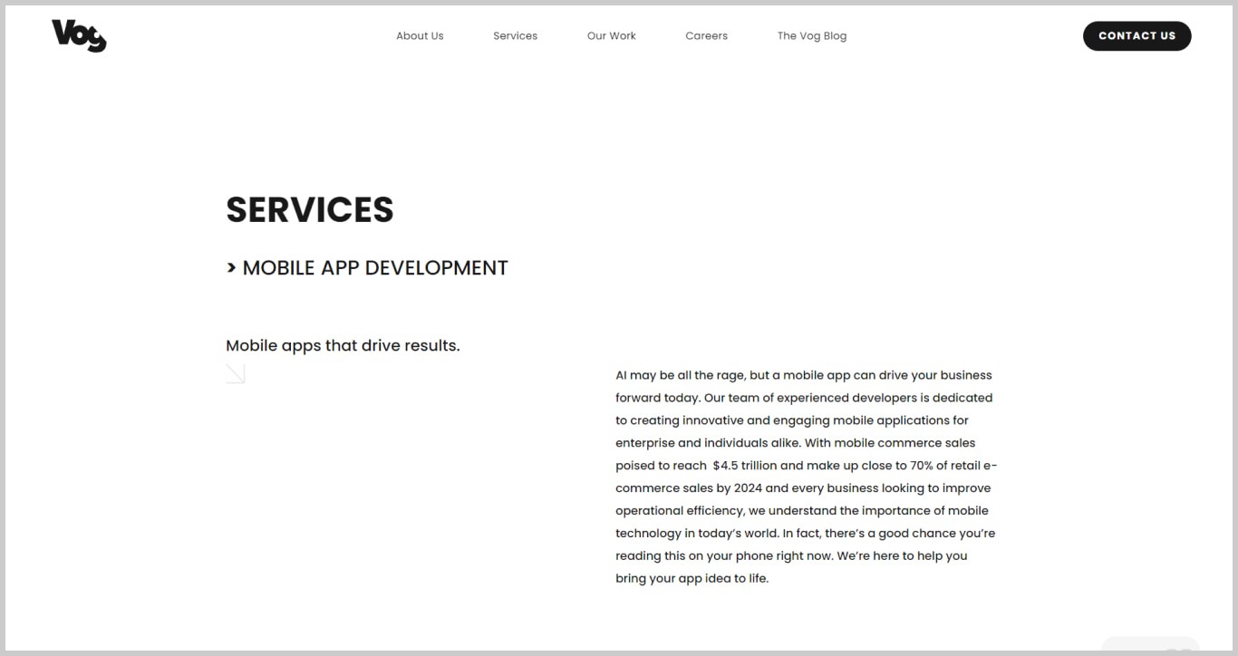 Vog App Developers