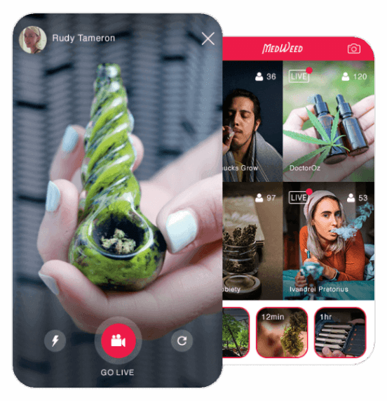 Live Streaming App is Beneficial for the Cannabis Community