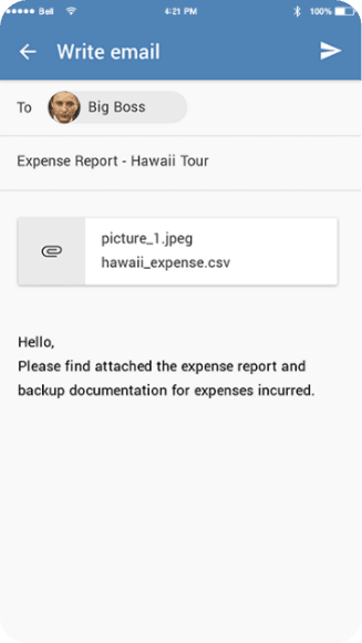 Directly Send the Generated Report